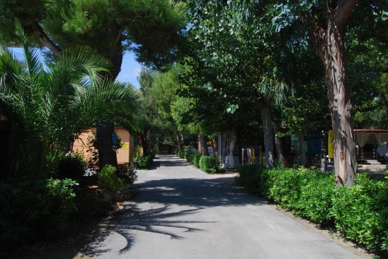 Villaggio Verde Cupra Cupra Marittima Extérieur photo